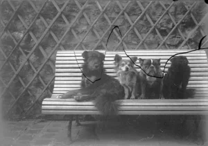 In Medane - die Bulldogge Bataille, die schwarze Loulou Pinpin und zwei weitere Hunde von Émile Zola auf einer Bank installiert