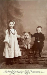 AKK  JJJJ ,,Der Familienhund''