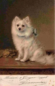 1905