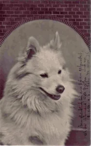  1907
