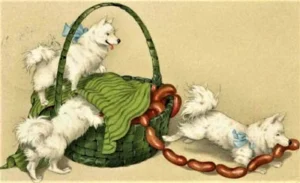 1909 Wurstdiebe 