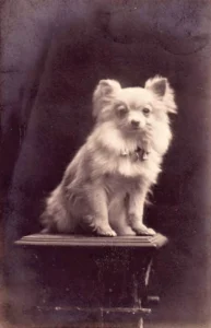 1918
