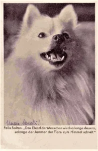 1934
