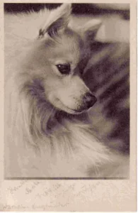 1939