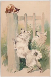 1904 Katze auf Zaun vor zwei Hunden
