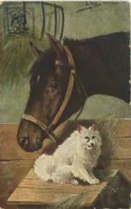 1909 Müller, A. Pferd und Spitz - Freundschaft 
