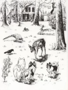 Buter, Fenna  - Im Wald