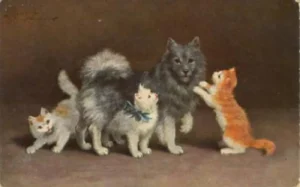 Spitz mit Katzen.