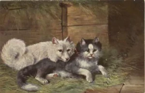 pitz und Katze