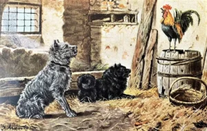 JJJJ Stallhunde