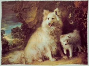 Ansichtskarte - Gainsborough