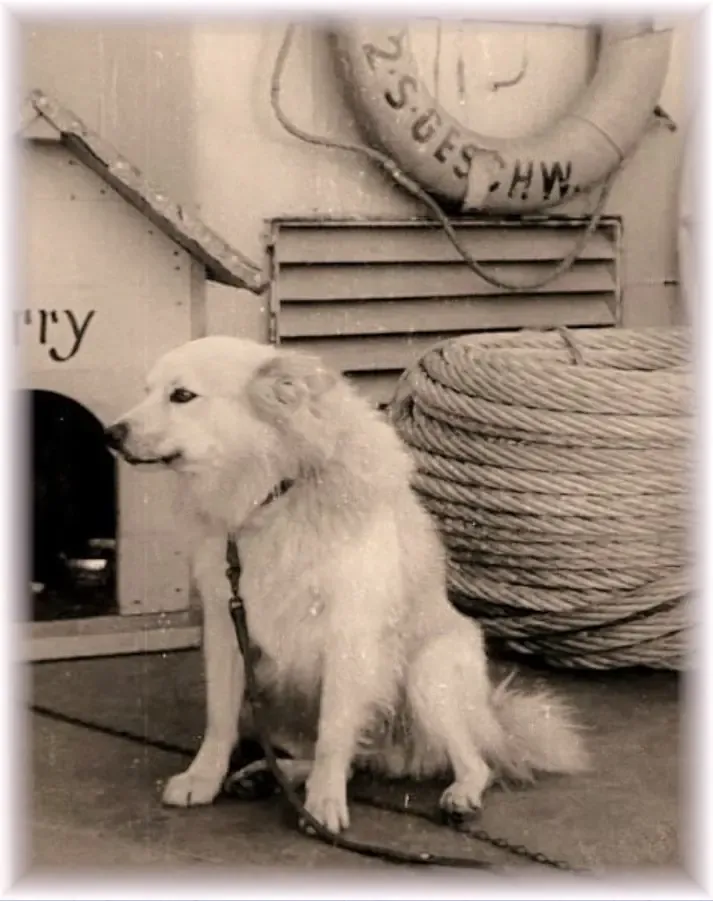 Bordhund Berry, Tender ,,Elbe”, 1965, Abb. 06