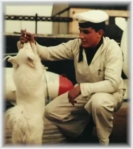 Bordhund Conny, Schneller Minensucher ,,Orion”, 1963, Abb. 14