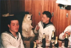 Bordhund Conny, Schneller Minensucher ,,Orion”, 1963, Abb. 17