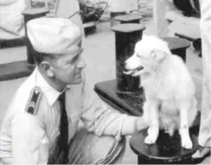 Bordhund Pisco (Gefreiter), Schulfregatte ,,Hipper”, 1962, Abb. 03