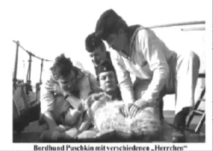 Bordhund Puschkin (Hauptgefreiter), Landungsboot ,,Salamander”, 1963, Abb. 06