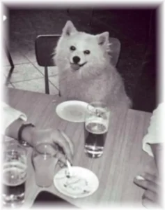 Bordhund Puschkin, Landungsboot ,,Krokodil”, 1970, Abb. 13