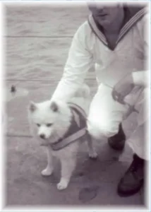 Bordhund Puschkin, Landungsboot ,,Krokodil”, 1970, Abb. 11