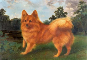 Cole, Reuben (1850 - 1919) JJJJ Marco, Royal Collection