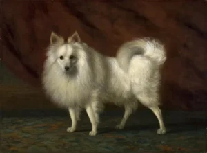 Crome, Vivian (1842 - 1926) 1883 The White Dog, Norwich-Castle-Museum-Art-Gallery