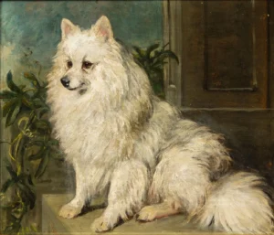 Emms, John (1844 – 1912), JJJJ Portrait of a Pomeranian