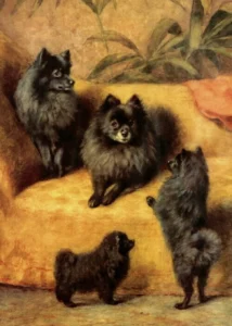 Fairman, Frances C. (1836 – 1923) 1897 Four generations, Portrait painting – The Pomeranians belonged to Mrs. Thomas