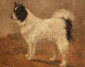 Fairman, Frances C. (1836 – 1923)1800 Portrait eines schwarz-weißen Hundes