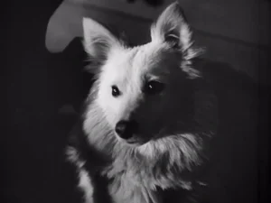 Film ,,Unter den Brücken”, 1946, Abb. 03