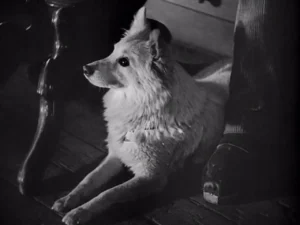 Film ,,Unter den Brücken”, 1946, Abb. 04