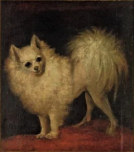 Gainsborough, Thomas (1727 – 1788) JJJJ A Pomeranian