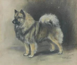 Harvey, Marion Rodger Hamilton (1886 – 1971) 1971 ,,Peiker“, Britisches Museum