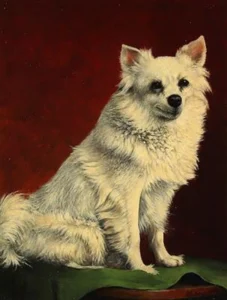 Haug, Albert (1830 – 1895) 1919 (ca.) Portait eines weißen Spitzes