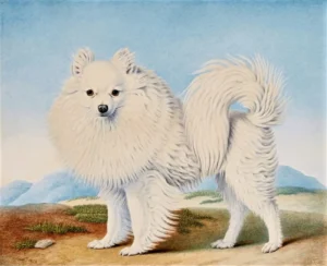 Huet, Nicolas (1770 – 1830) 1828 A Pomeranian.