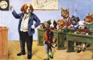 In der Hundeschule 01