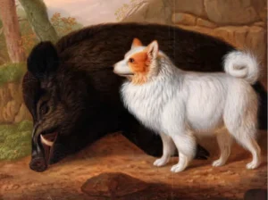 Kehrer, Christian Wilhelm Karl (1770 – 1869) 1818 Spitz auf totem Eber