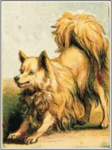 Kronheim, Joseph Martin (1810-1896) JJJJ Portrait eines Spitzes