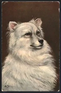 Kuenstler-AK-Alfred-Schoenian-Portrait-eines-weissen-Hundes