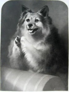 Landseer-Edwin-Thomas-1851-Originalgravur-Good-Doggie-London