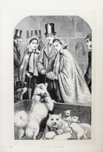 NNNN 1866 Abdruck in Society of a dog show, aus ,,Pictures of Society. Grave and Gay.'', published by Sampson Low, Son, and Marston, London