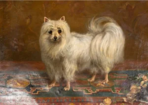 NNNN 1880 (ca.) Gemälde von einem Champion Seidenspitz. Stehend auf einem orientalischen Teppich mit Blumenstrauß