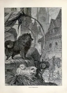 NNNN 1881 Shaw, Vero Cambell, The illustrated book of the dog, S. 183 (Auch Cassel 1880)