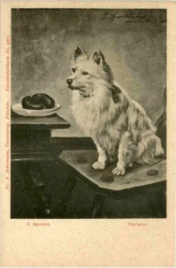 Postkarte S. Sperlich - Tantalus