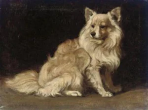 Rainer-Istvánffy, Gabriella (1875-1964) JJJJ A Spitz