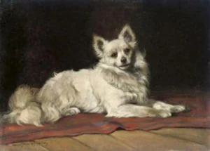Rainer-Istvánffy, Gabriella (1875-1964) JJJJ A Spitz on a red Rug