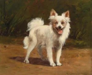 Rainer-Istvánffy, Gabriella (1875-1964) JJJJ Ein junger Spitz