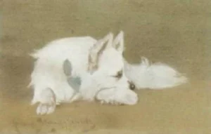Rainer-Istvánffy, Gabriella (1875-1964) JJJJ Schlafender Spitz