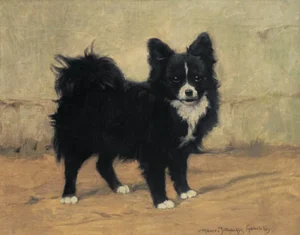 Rainer-Istvánffy, Gabriella (1875-1964) JJJJ Schwarzer Spitz mit weißer Schnauze und weißen Pfoten