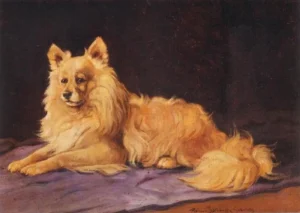 Rainer-Istvánffy, Gabriella (1875-1964) JJJJ Wachsamer Spitz
