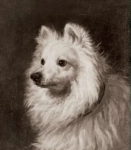 Robinson,Thomas (1770 – 1810) JJJJ Spitz Dog, Rhode Island School of Design Museum