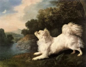 Stubbs, George (1724 – 1806) 1775 Spaniel (!!!) des Malers Cosway, der einen Schmetterling jagt